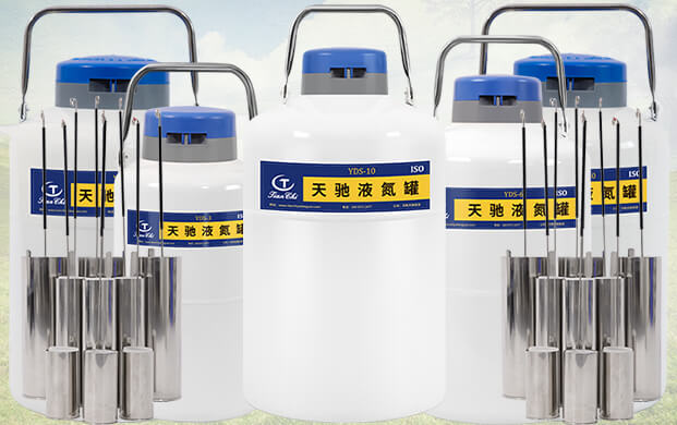 10升液氮罐能裝多少支凍精？
